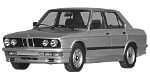BMW E28 C2425 Fault Code